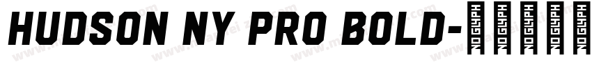 Hudson NY Pro Bold字体转换